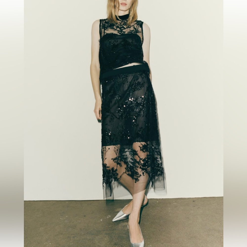 NWT ZARA EMBROIDERED TULLE LIMITED EDITION TOP AND SKIRT
